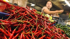 Harga Cabai Masih Betah di Kisaran Rp 70 Ribu per Kg