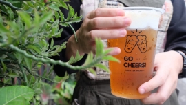 Gocheers Cheese Tea, Minuman Zaman Now yang Menyegarkan