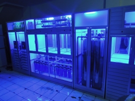 Peluang Usaha Depot Air Minum Isi Ulang