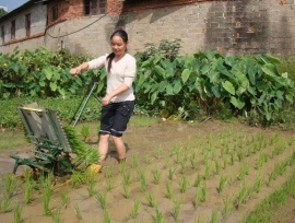 Referensi Peluang Usaha di Desa, Usaha Rumahan Sebagai Sampingan