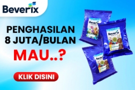 Beverix Powder Drink - Dicari Dropship Jual Bubuk Minuman Bisnis Waralaba