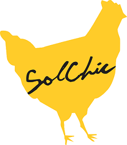 logo solchic small