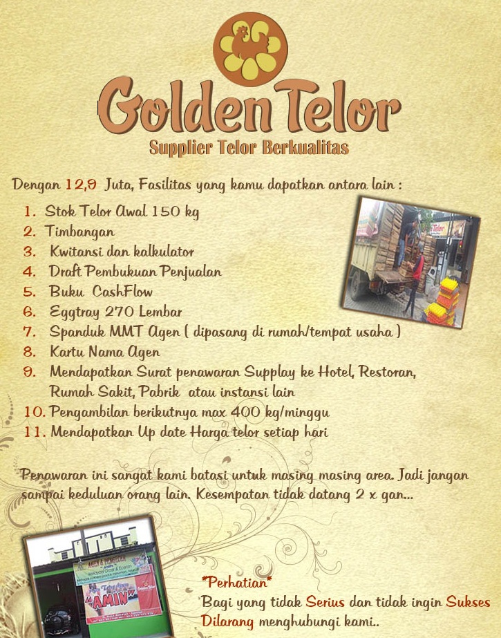 golden telur 10