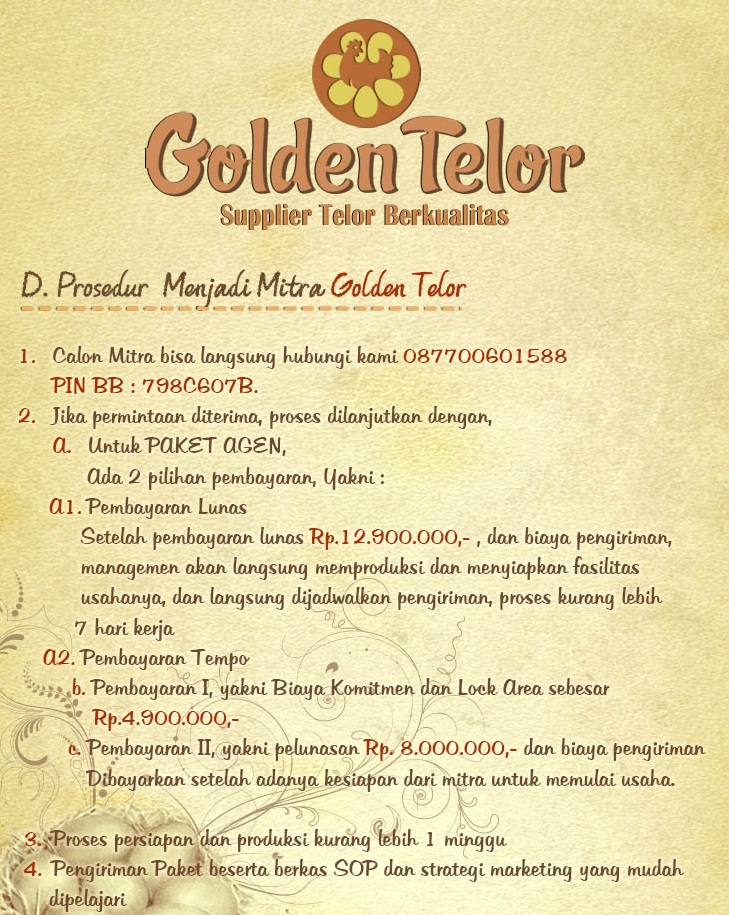 golden telur 11