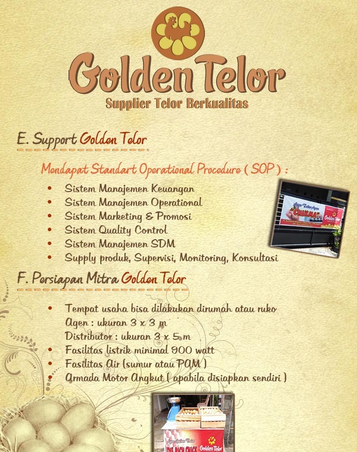 golden telur 13