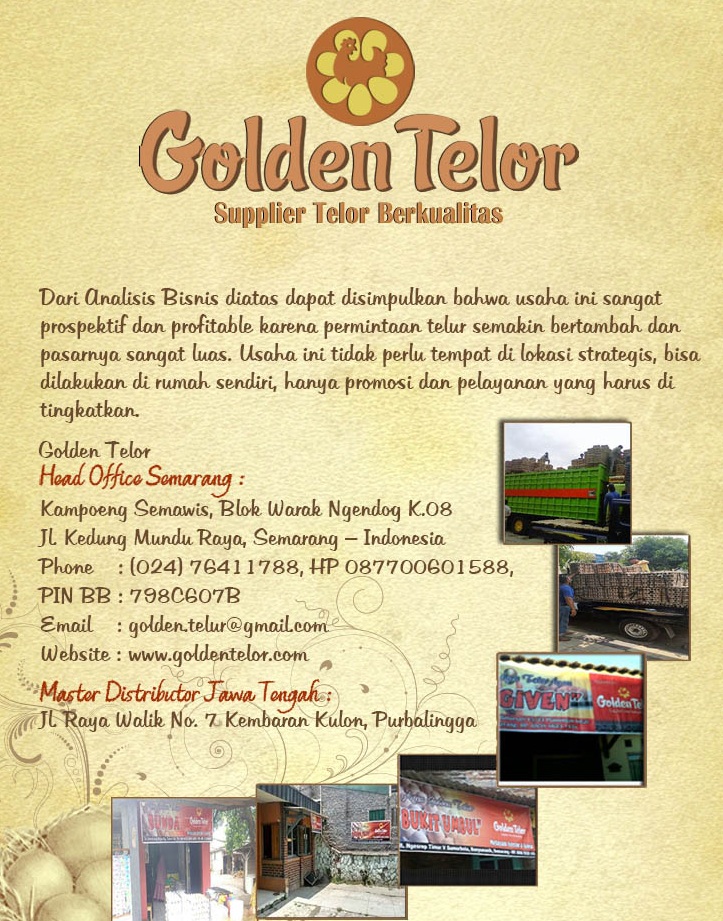 golden telur 15