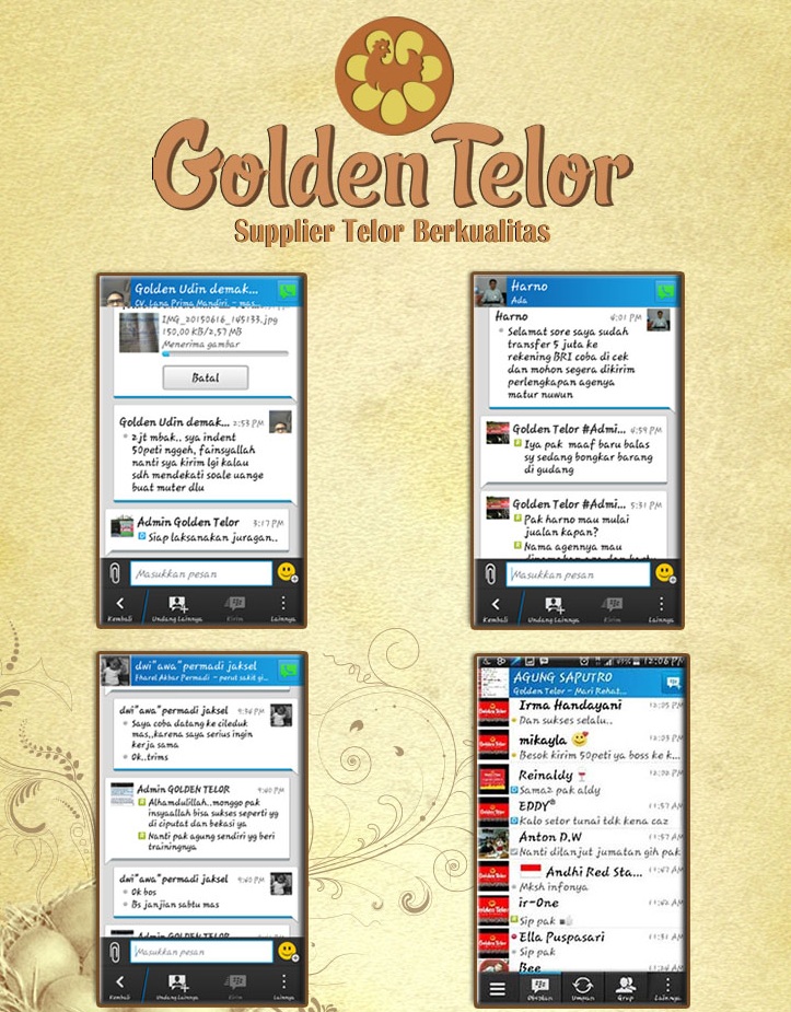 golden telur 16