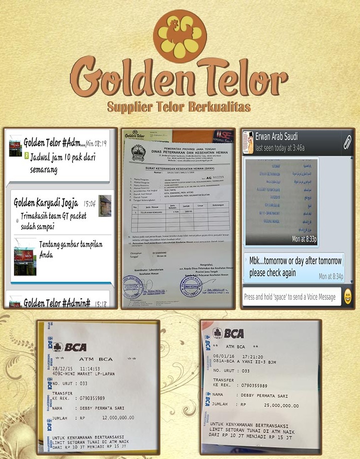 golden telur 18