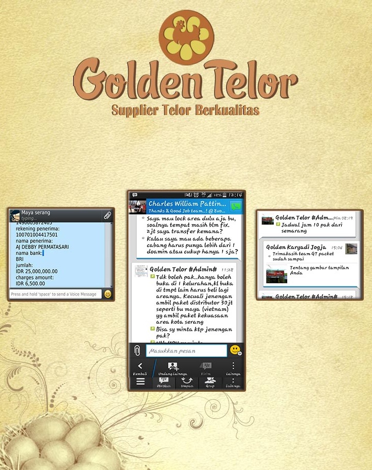 golden telur 19