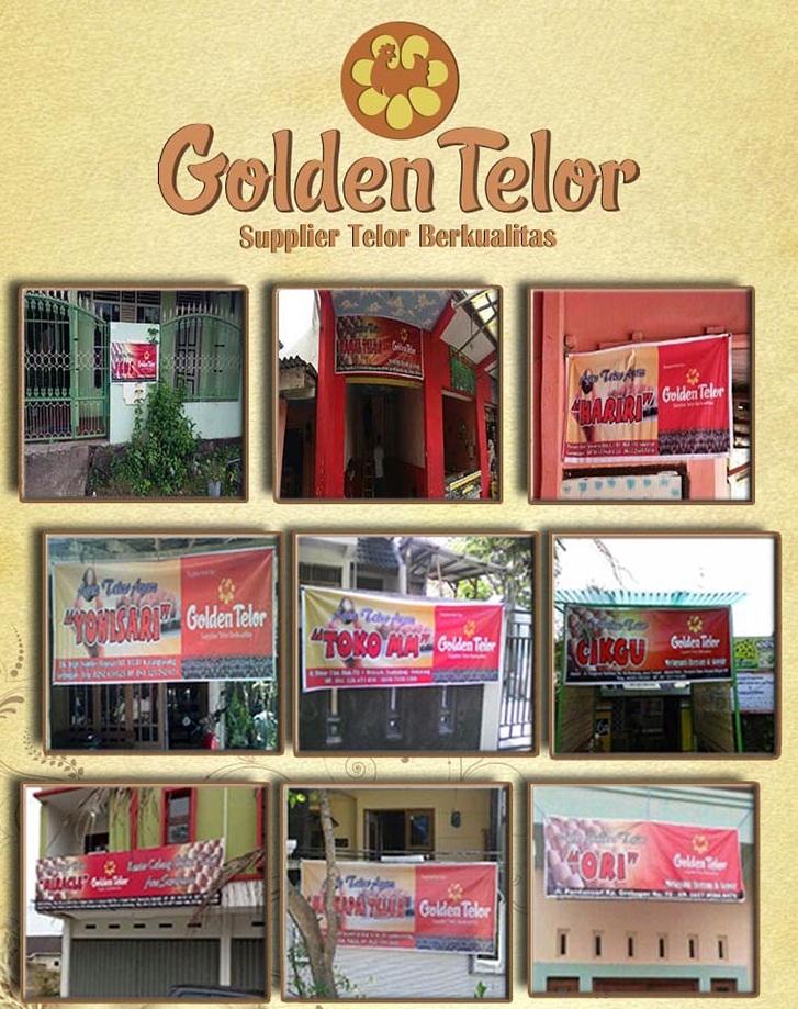 golden telur 25
