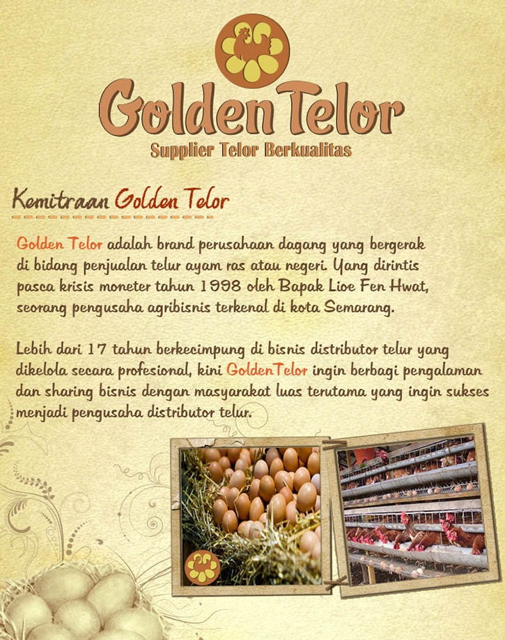 gambar distributor telur golden telur 3