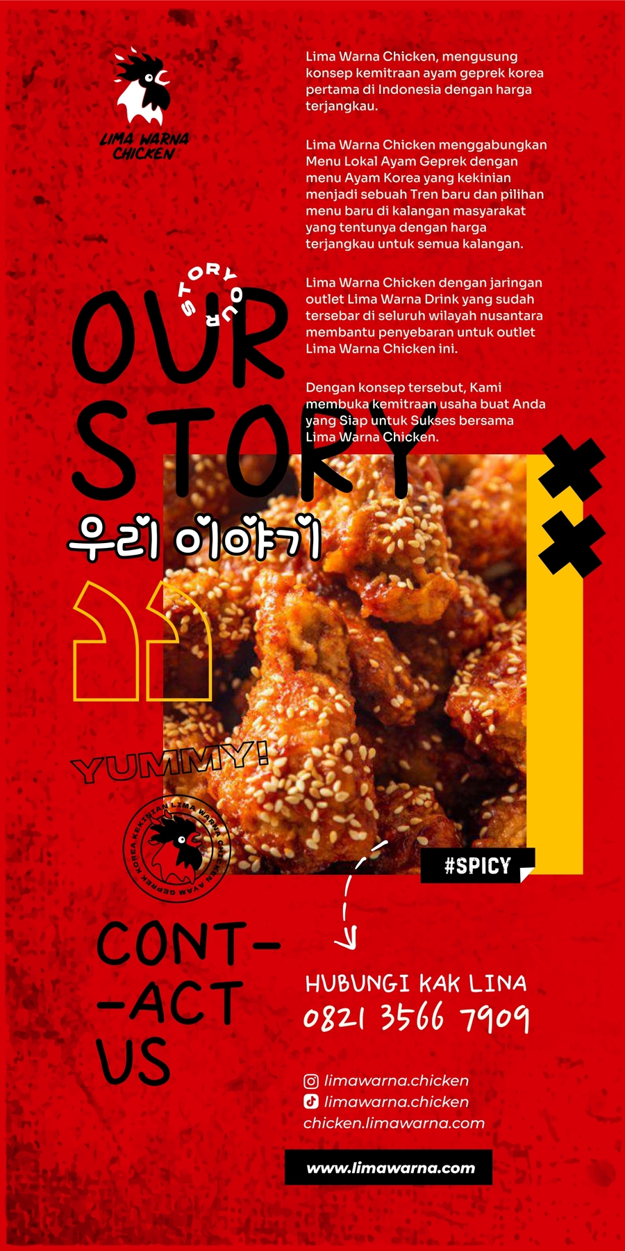 kontak lima warna chicken