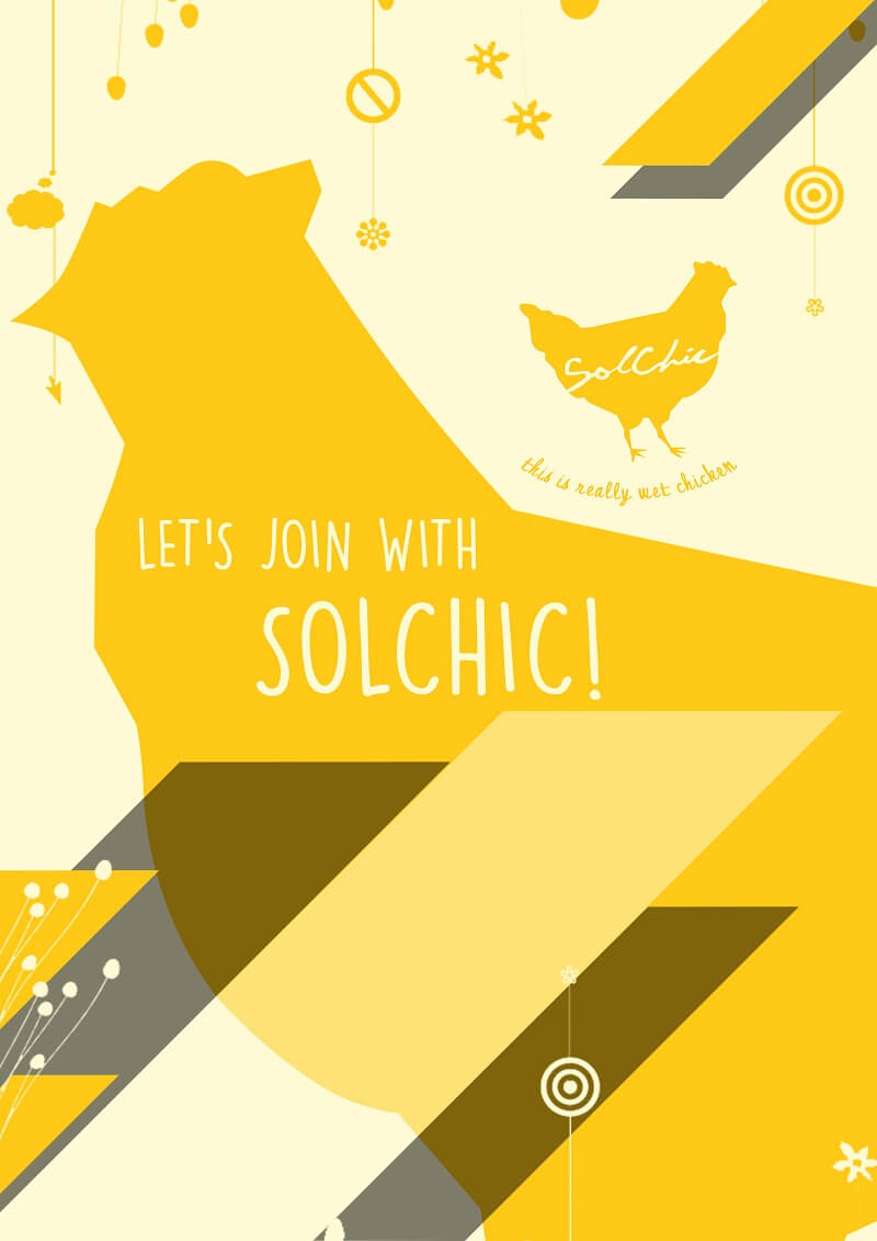 img franchise solchic