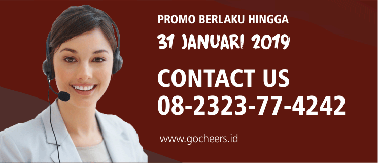 contact gocheers